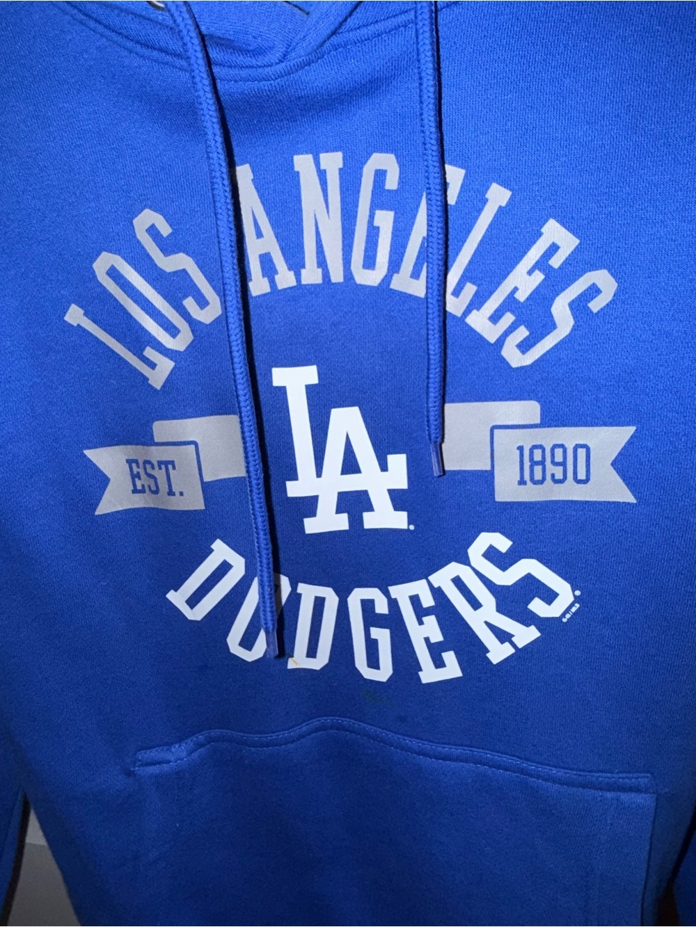 Blue Pullover Hoodie Sweatshirt
